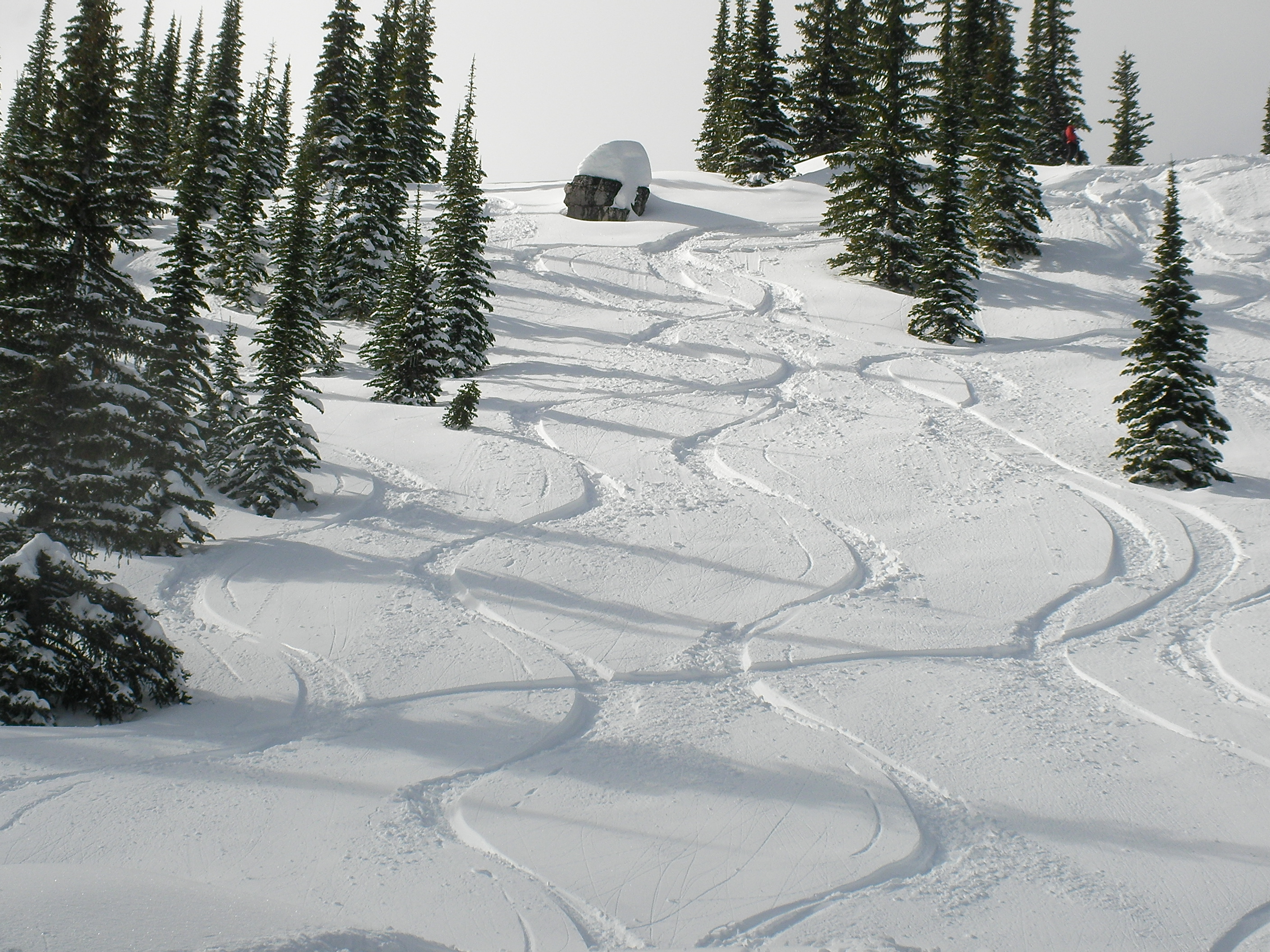 fresh powder skiing
