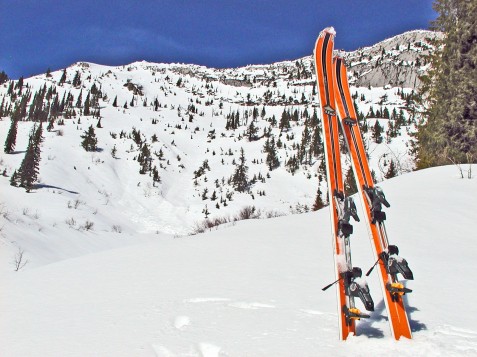 skis in snow