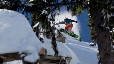 Shifty through the trees