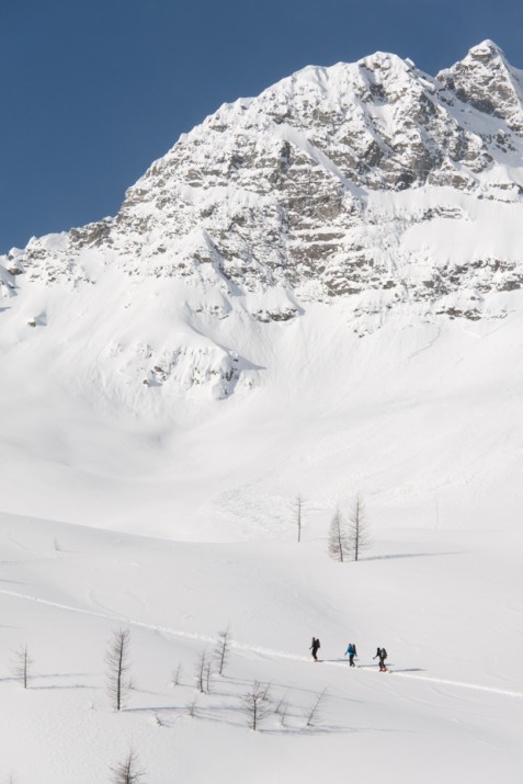 Touring the backcountry