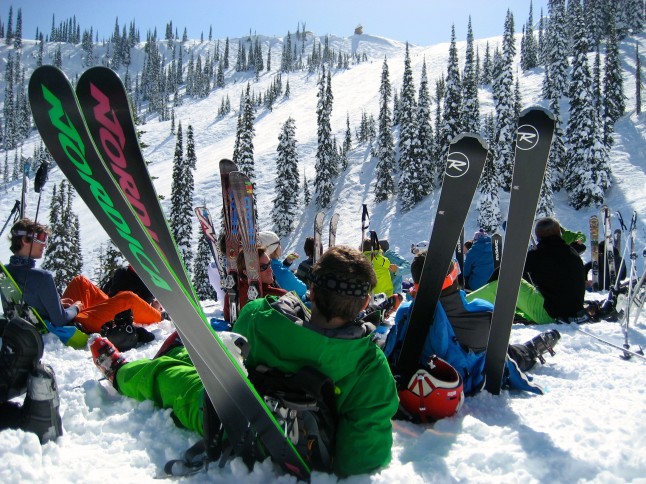 Fernie picnic