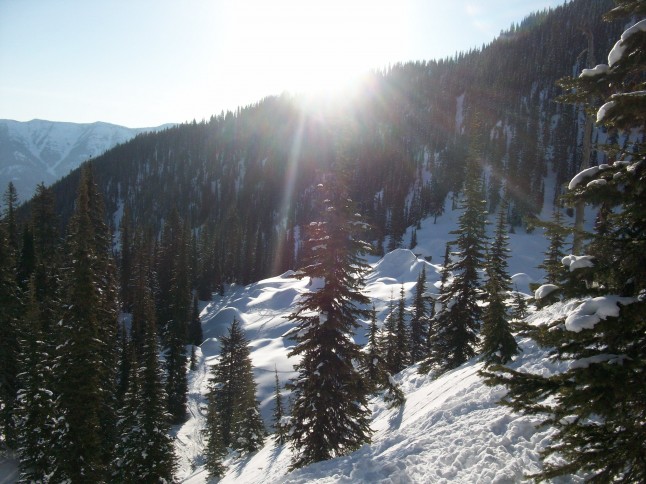 Treeskiing in Canada