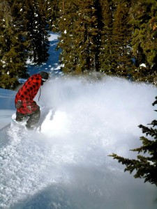 Lake Tahoe, USA, California Powder