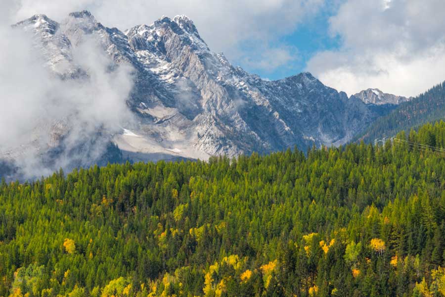 Fernie in the summer is just as beautiful as in winter.