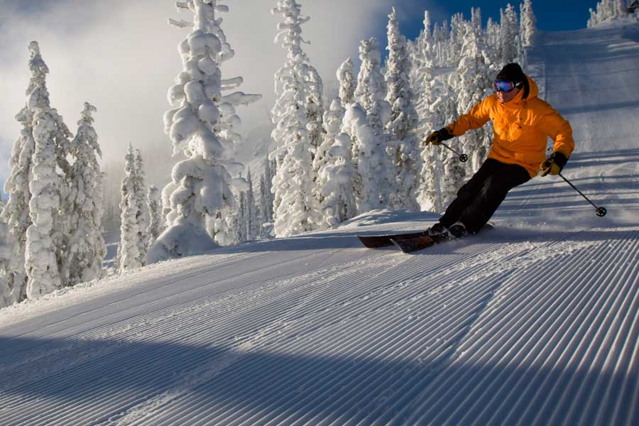 Want to cruise the groomers?