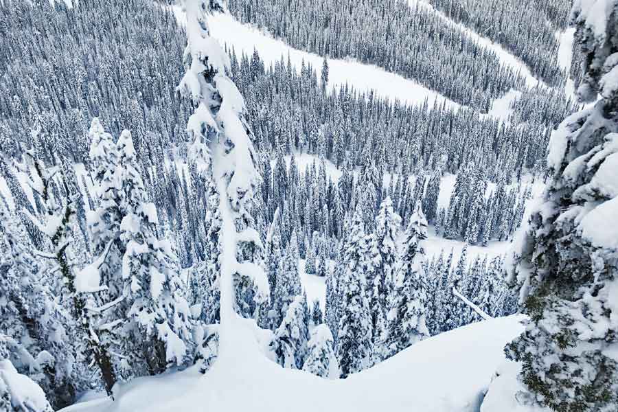 View down the steep sixty-nine on the north side of Grey Mountain.