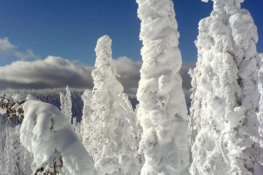 Powder. Snowghosts. That's just RED.