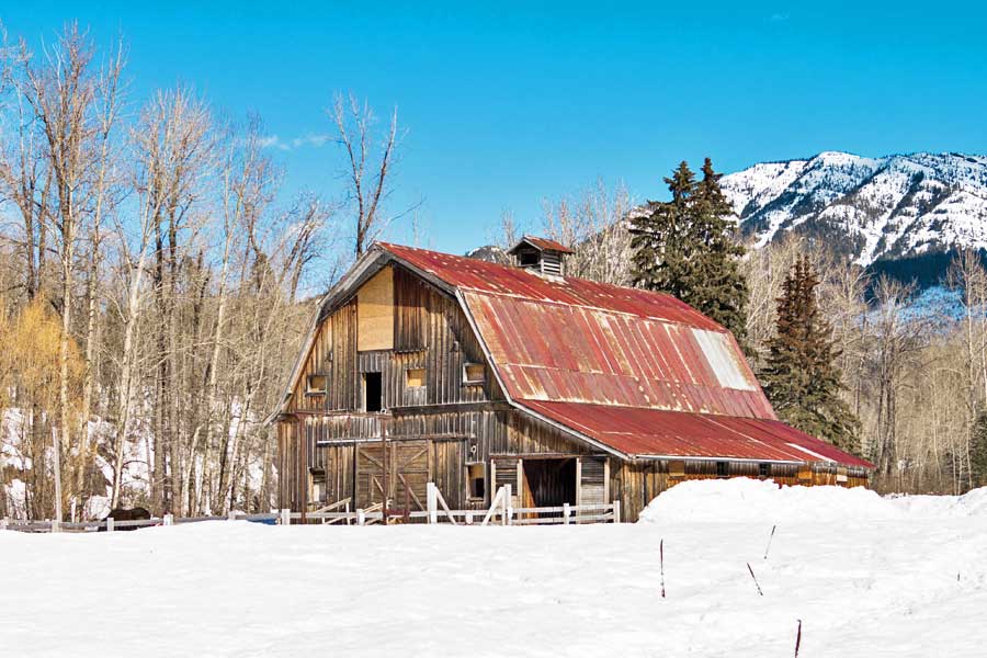 Spring hiking around the Fernie area.