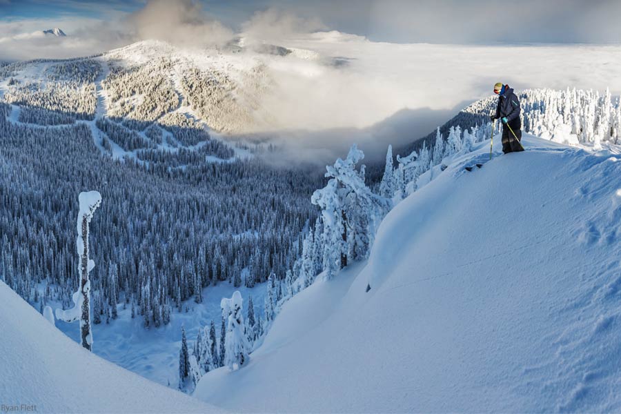 Dropping in!