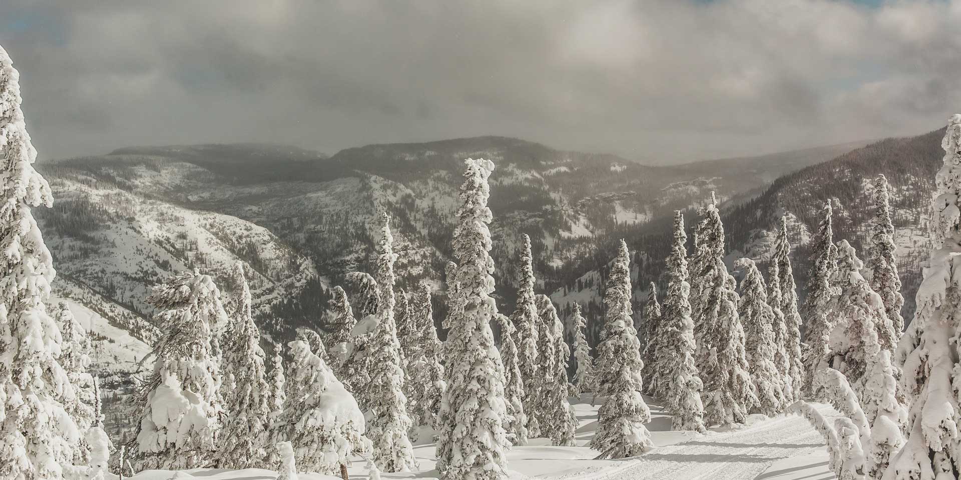 BC-view-cat-skiing.jpg