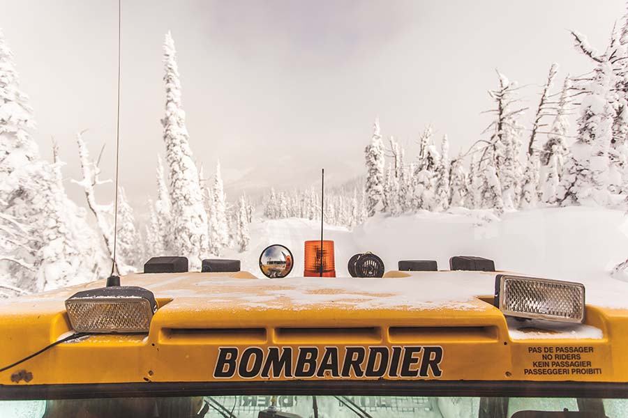 cat-skiing-cab-roof.jpg