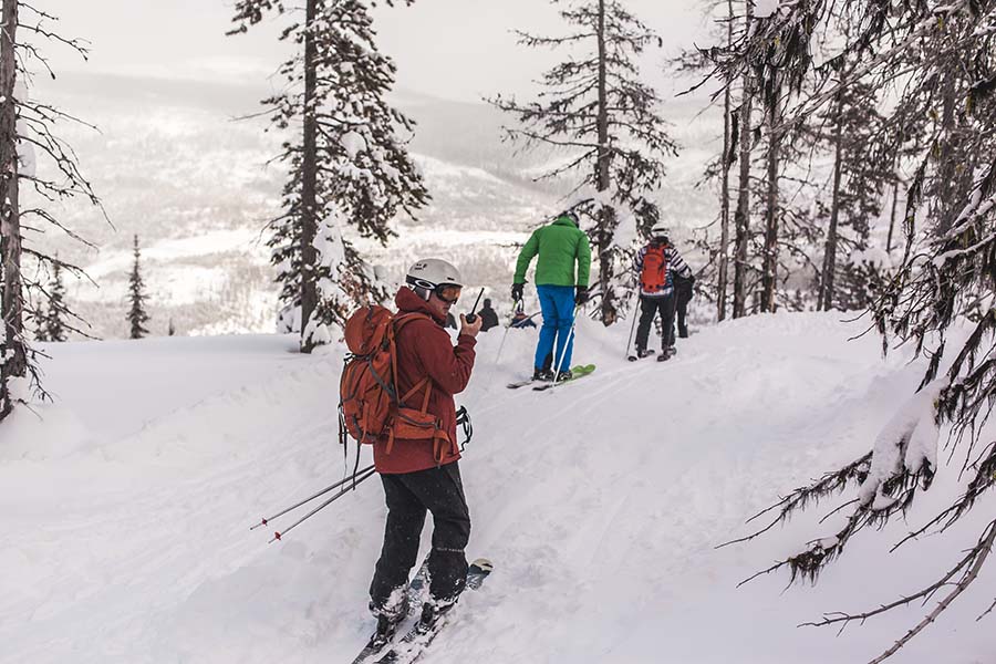 Cat skiing in BC