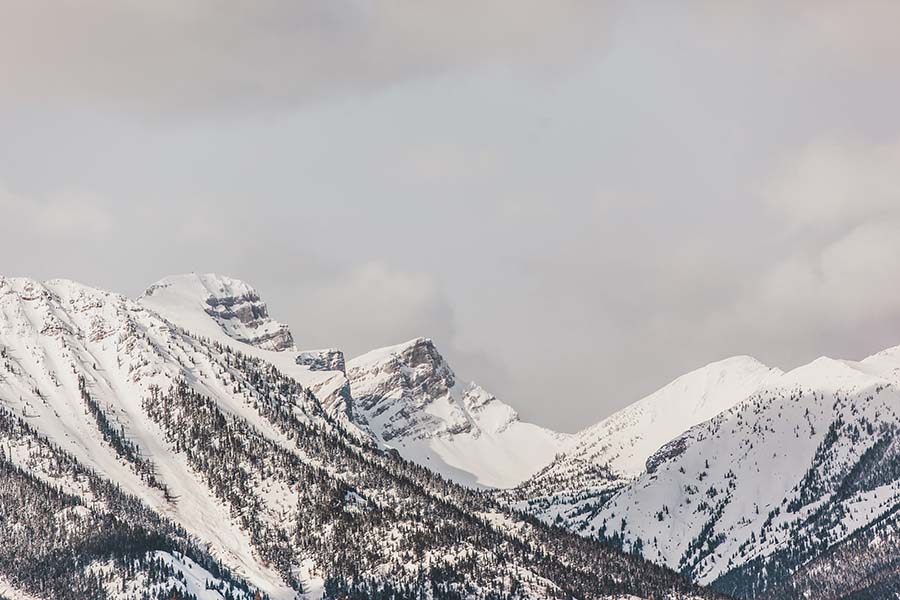 fernie-tree-lines.jpg