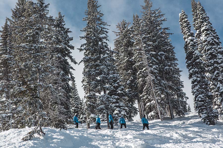 instructors-in-trees.jpg