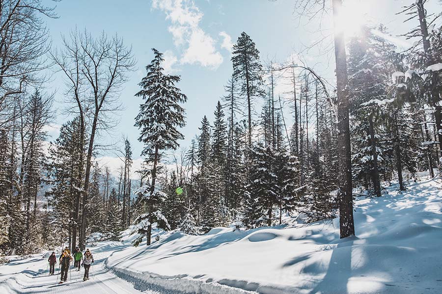 snowshoeing-in-fernie.jpg