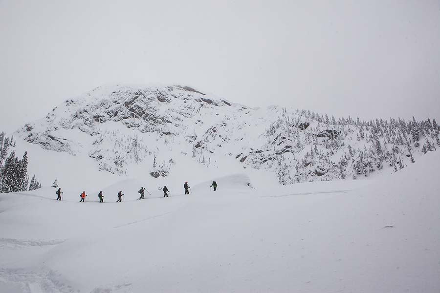 touring-fernie-sidecountry.jpg