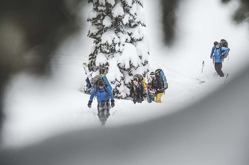 hike-through-trees.jpg