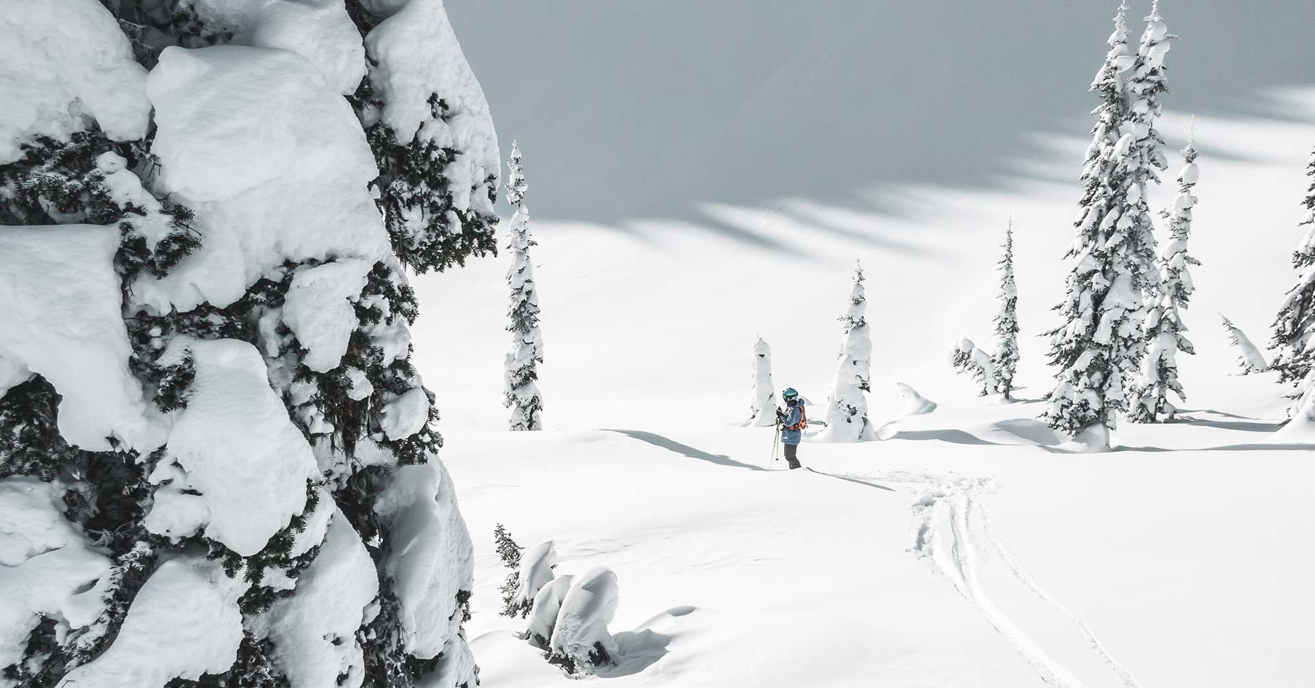 fernie-sidecountry-tom-pope.jpg