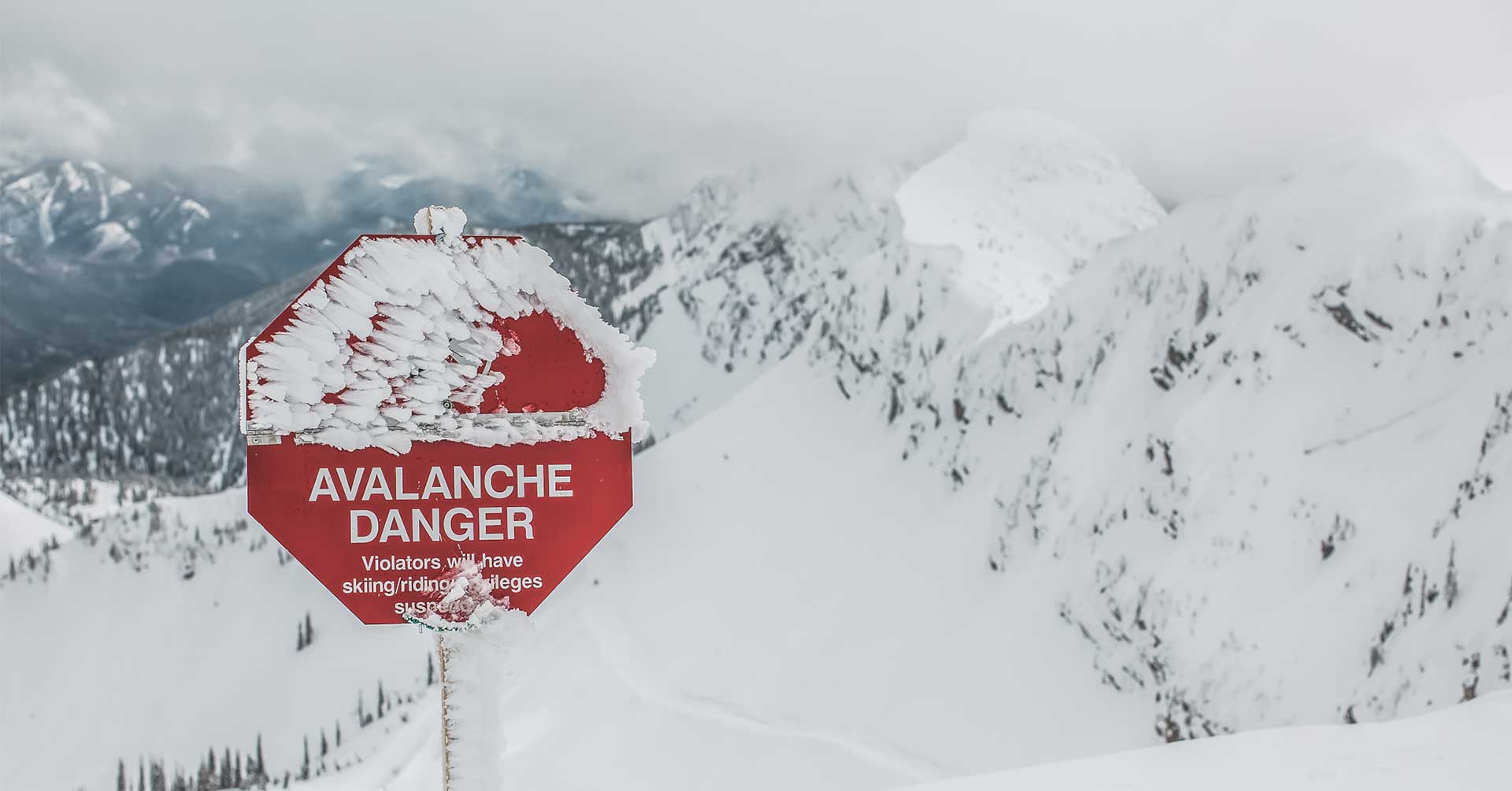 avalanche-sign-fernie-nick-nault.jpg