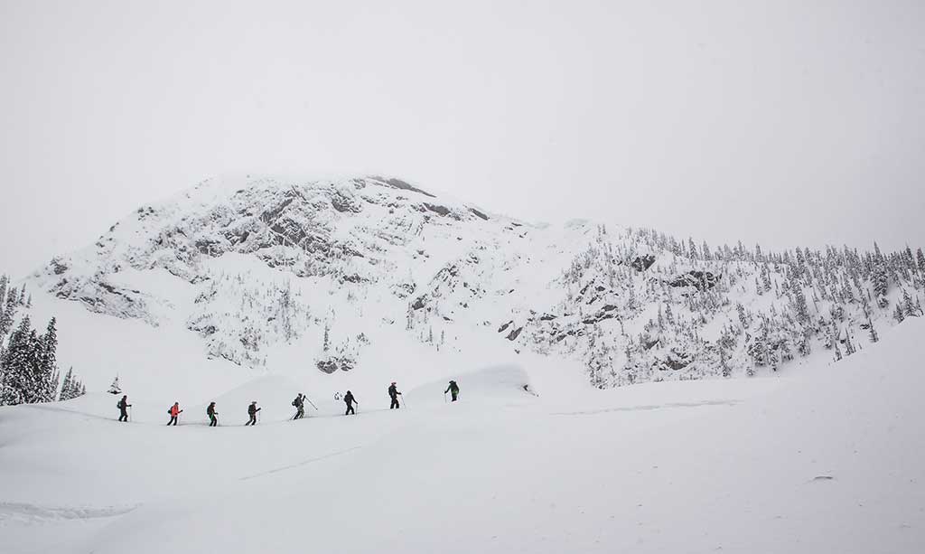touring-fernie.jpg