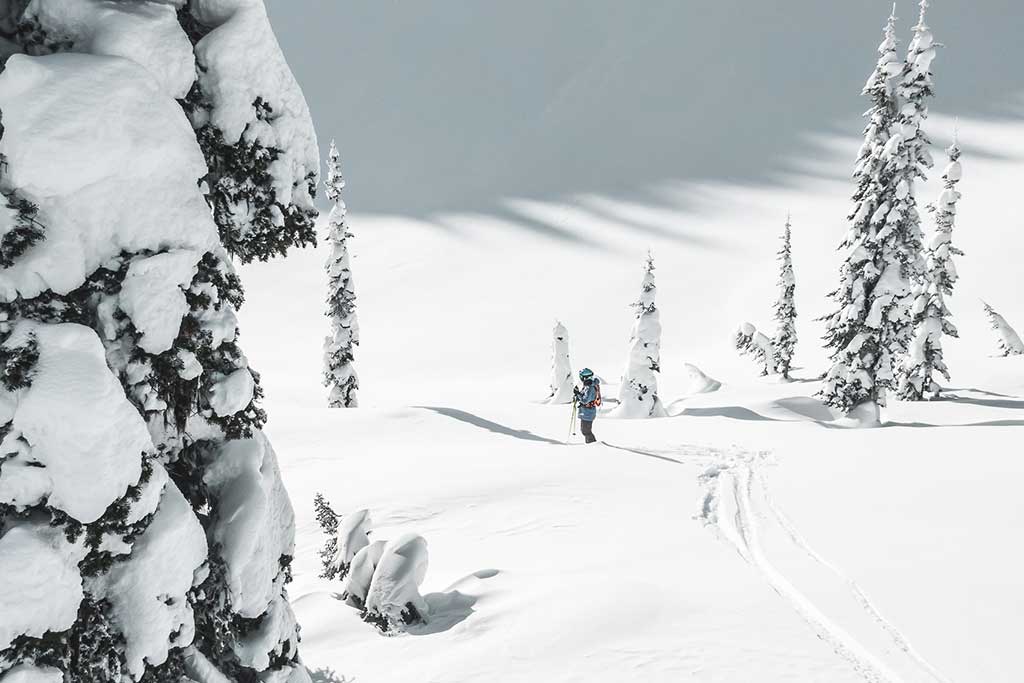 fernie-sidecountry-tom-pope.jpg