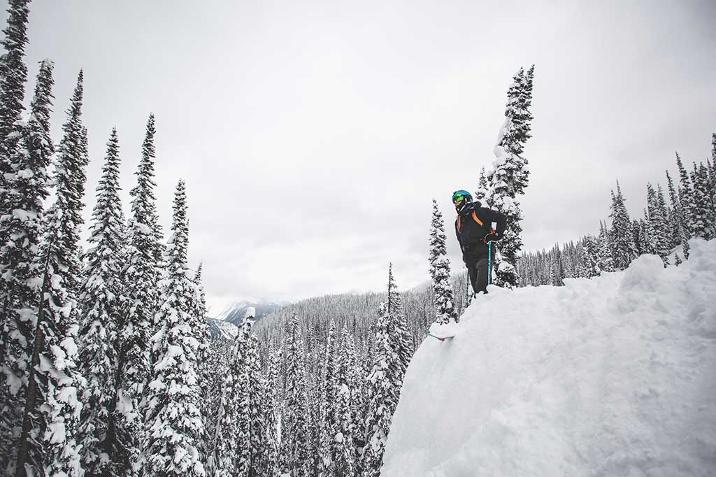 revelstoke-pillow.jpg