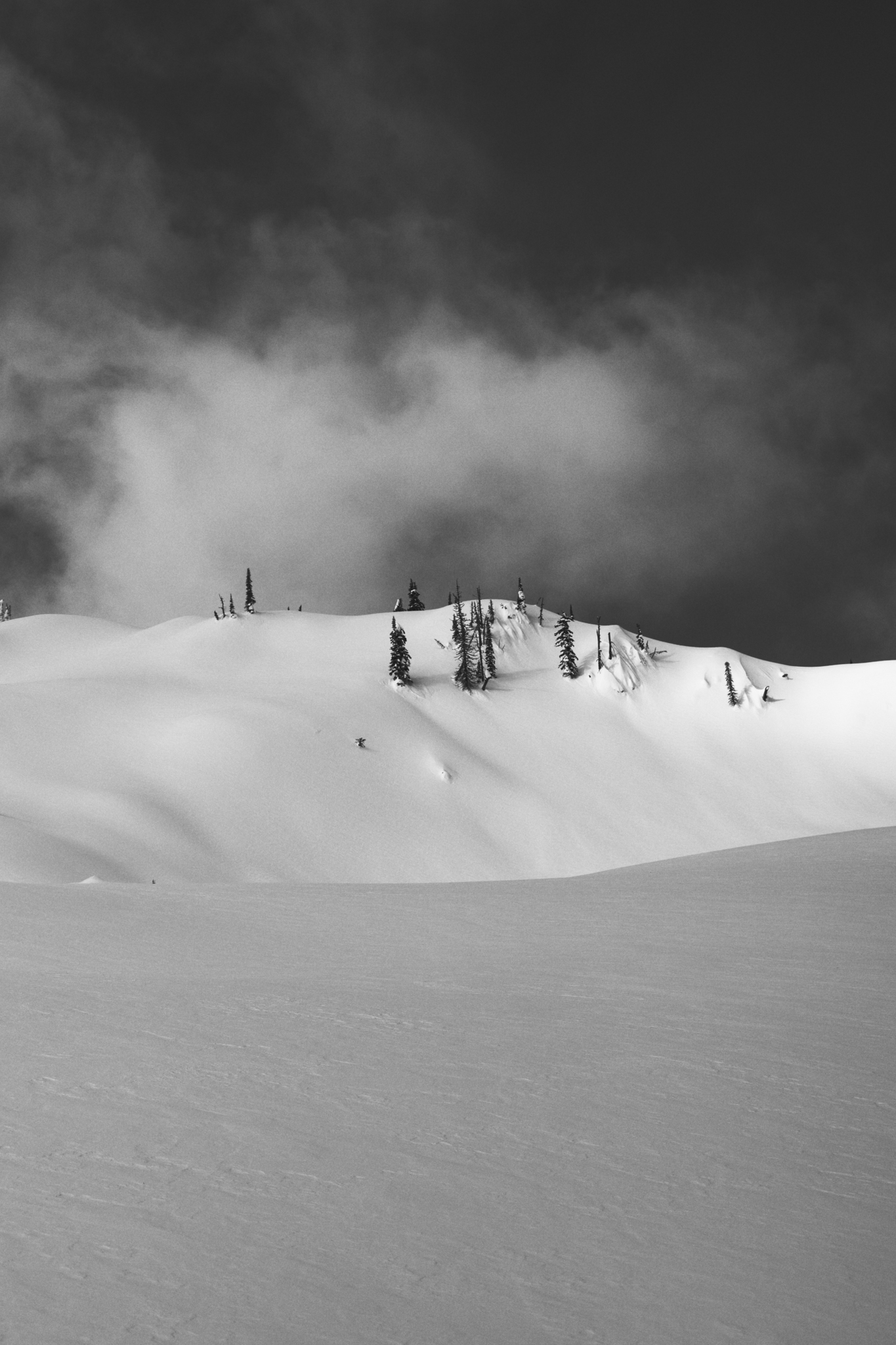 Cedar Bowl, Fernie.