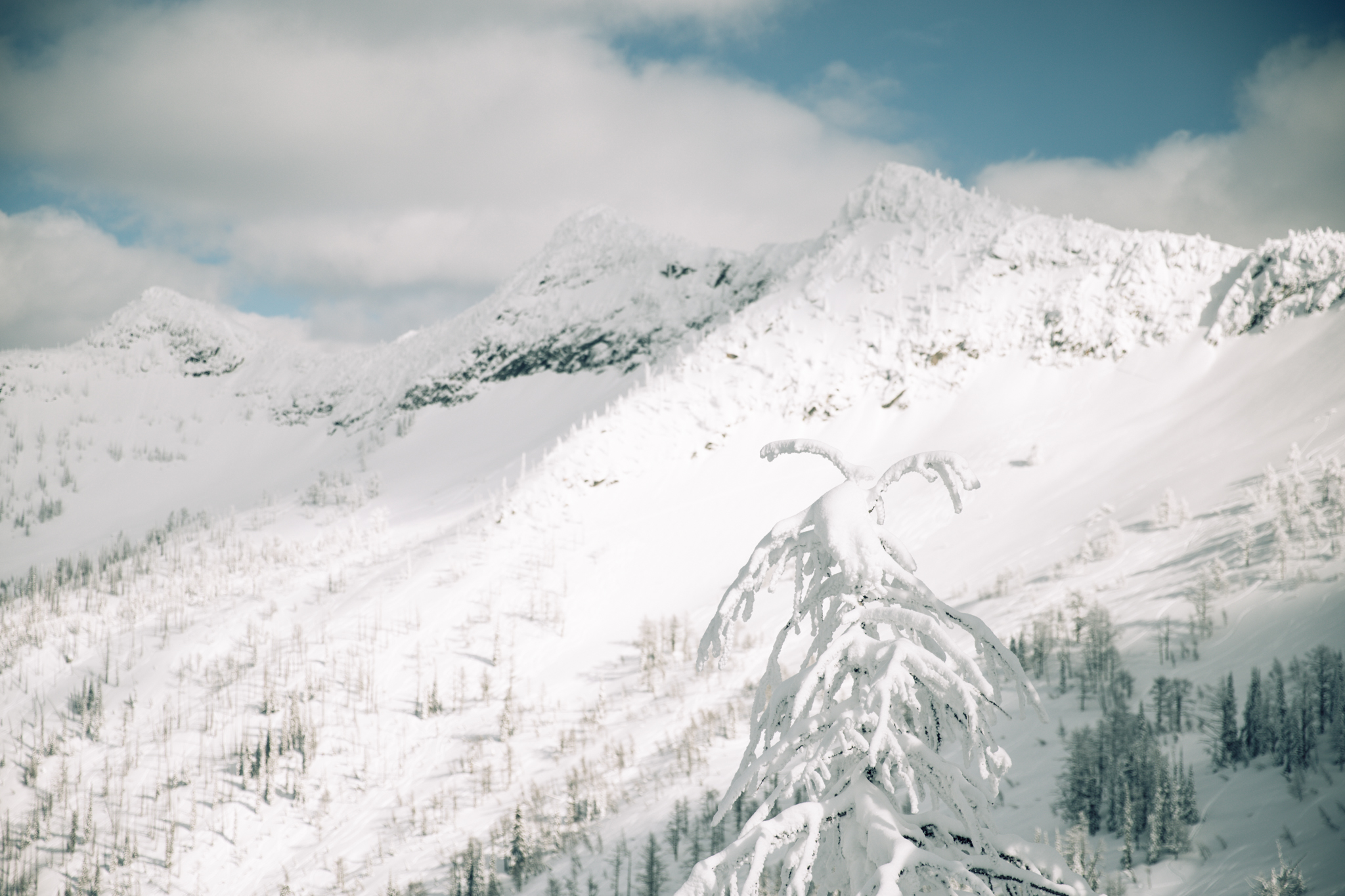 British Columbia backcountry.