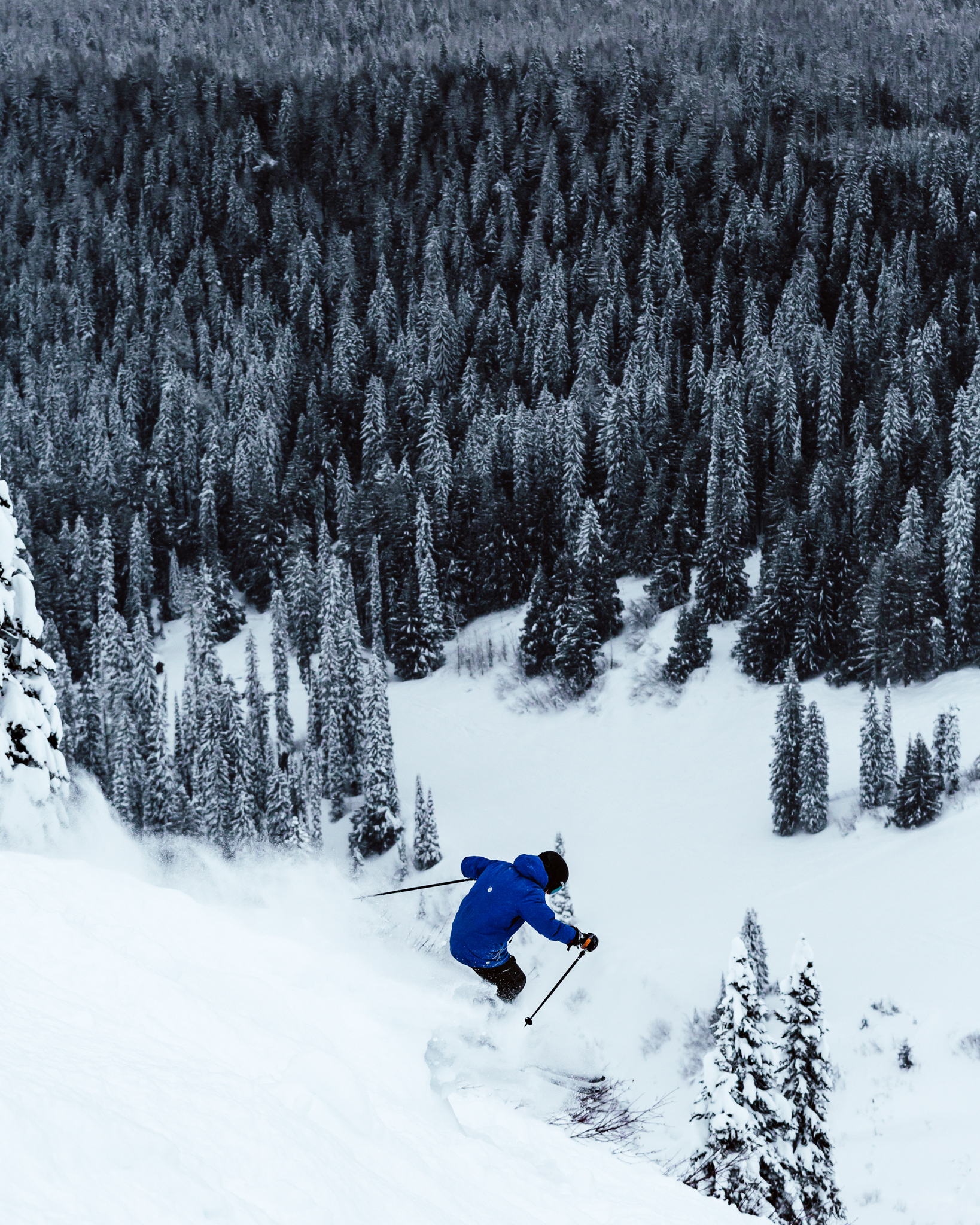 Laps above the trees in Fernie.