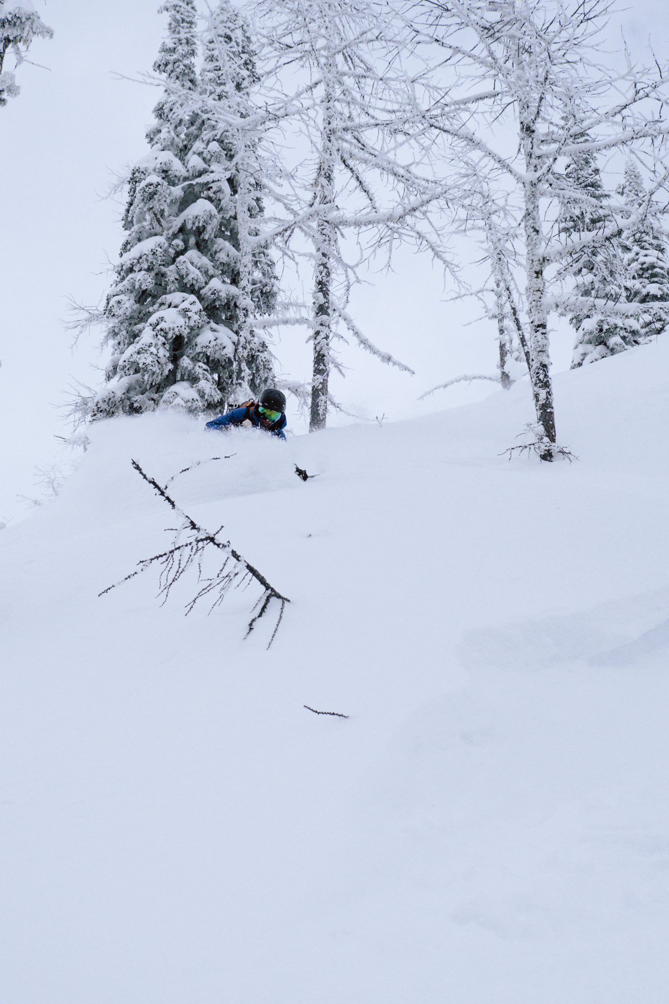Untouched turns in the backcountry.
