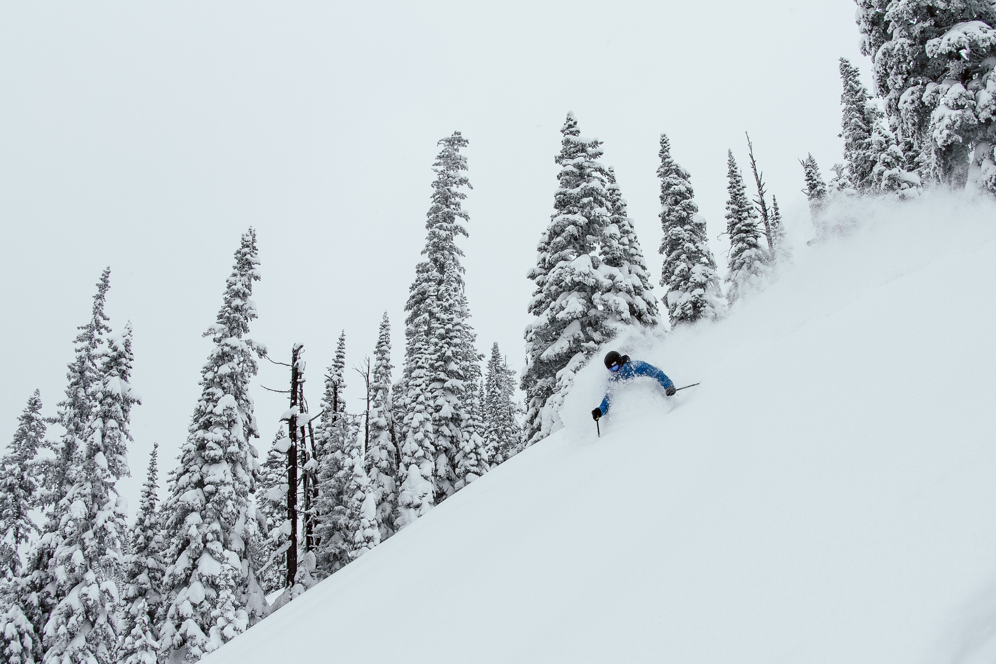 One of those deep days in Fernie, demoed by Nonstop coach Tom