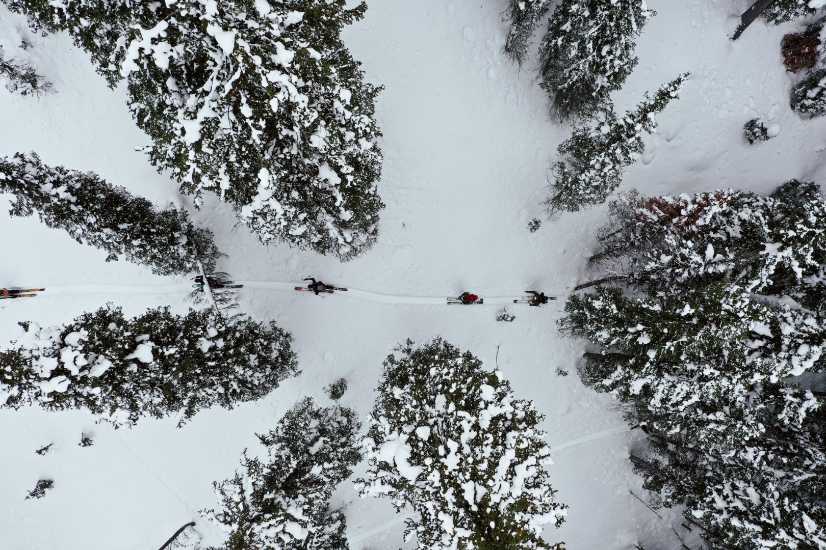 DJI_0199.jpg