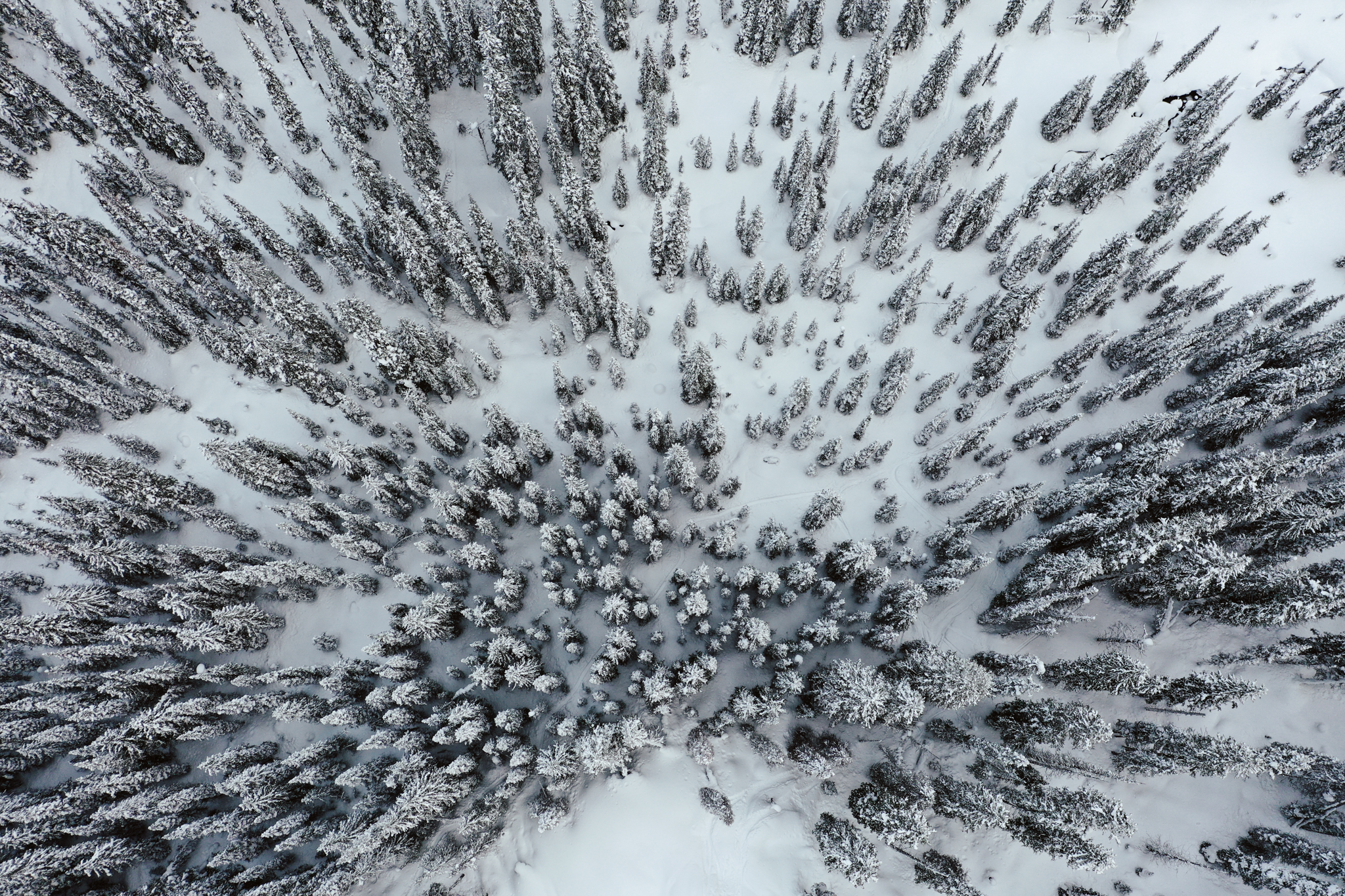 DJI_0148.jpg