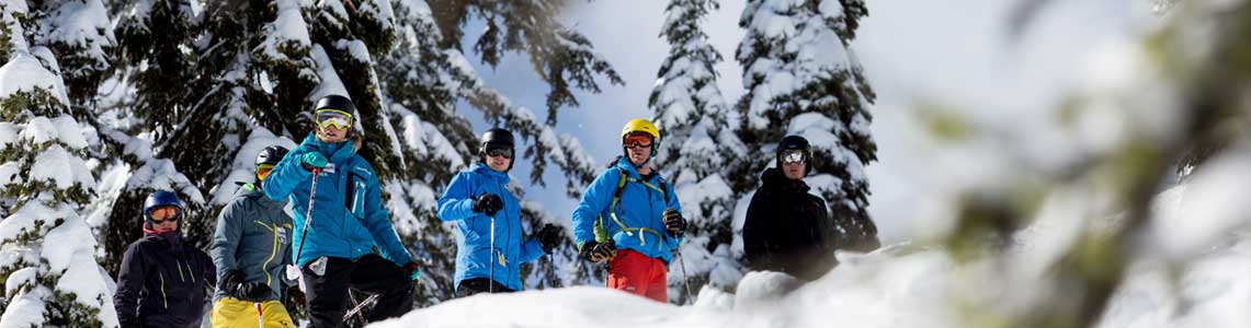 NN Ski Group Fernie 2 1141X300